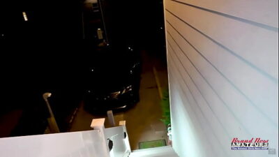 Inked Brunette Hottie Parker Skyes Rubs Her Twat And Sucks A Big Cock!