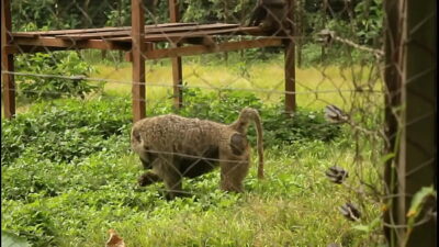 These two tourists crossing paths in a park could discover unexplored places and memorable moments together.