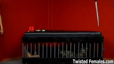 You are nothing to me but a piece of garbage